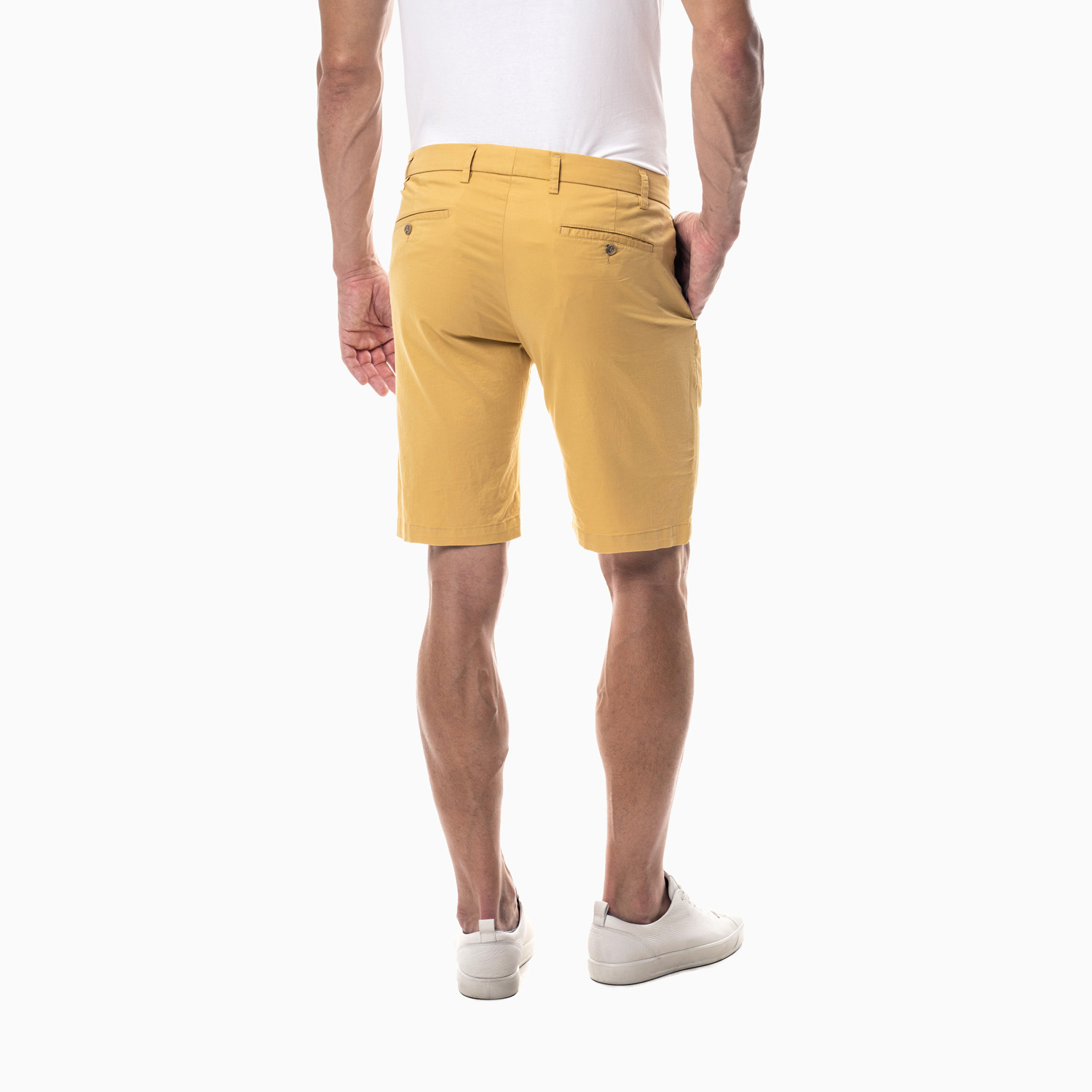 Artikelbild Artikelbild