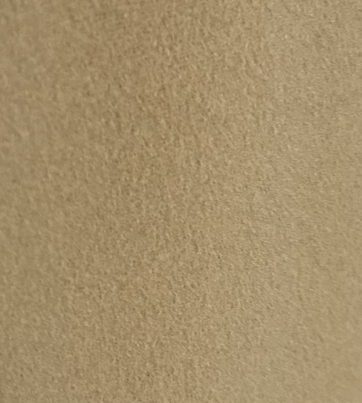 Artikelbild Artikelbild